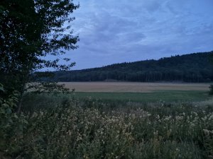 IMG_20180706_232317.jpg