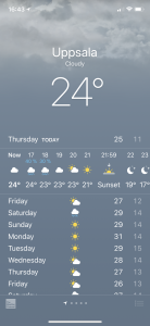344C2CAE-1E61-46D0-A716-9256A732A929.png