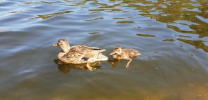 20180708_143613.jpg