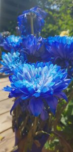 20180708_151649.jpg