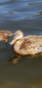 20180708_143623.jpg