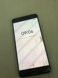 OP31.jpg