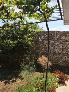 IMG_20180718_145217.jpg