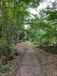 IMG_20180719_173207.jpg