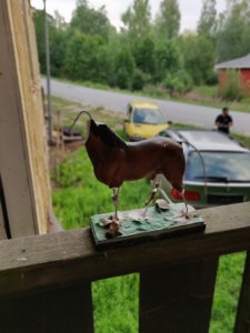 IMG_20180719_202748_Bokeh.jpg
