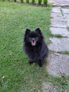 IMG_20180705_194400_Bokeh.jpg