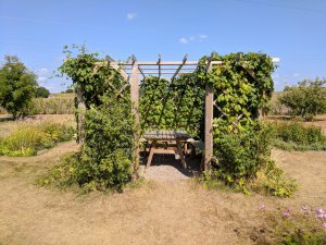 IMG_20180721_145635.jpg