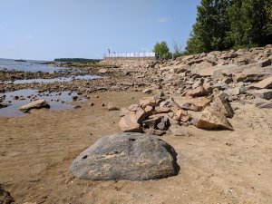 IMG_20180721_120039.jpg