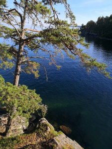 IMG_20180726_184927.jpg