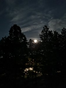 IMG_20180730_010516.jpg