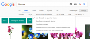 google-bilder.PNG