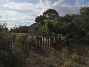 IMG_20180723_180051.jpg
