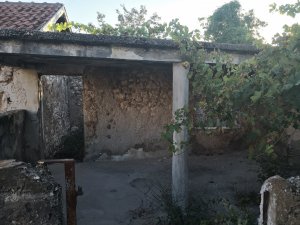 IMG_20180719_191841.jpg
