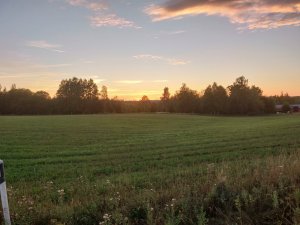 IMG_20180802_212133.jpg
