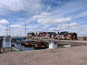 IMG_20180806_121657.jpg