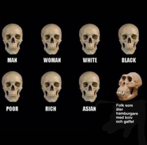 641B9B3C-4951-49F8-B44B-DF6A2D030287.jpeg
