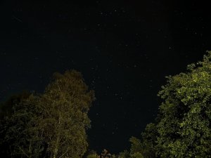 39102654_1847028235343804_7814398691027976192_o.jpg
