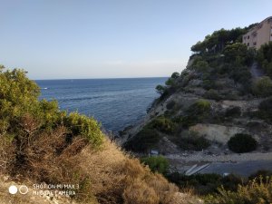 IMG_20180814_194034.jpg