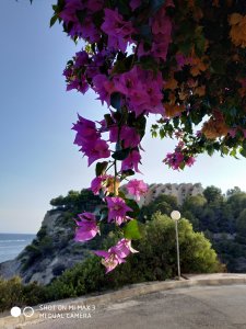 IMG_20180814_193918.jpg