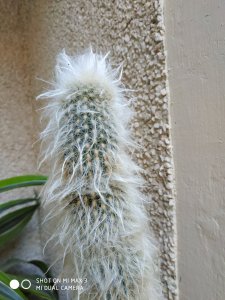 IMG_20180814_194245.jpg