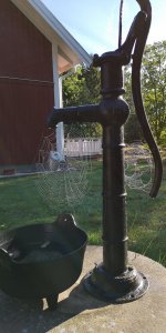 IMG_20180821_085200.jpg
