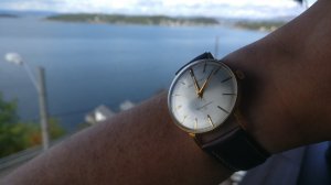 IMG_20180811_120752.jpg