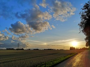 IMG_20180826_193910.jpg
