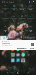 Screenshot_20180827-233521_Nova Launcher.jpg
