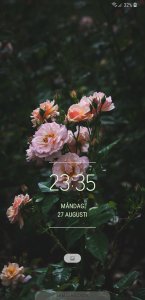 Screenshot_20180827-233501_Nova Launcher.jpg