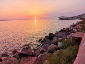 IMG_20180808_204525.jpg