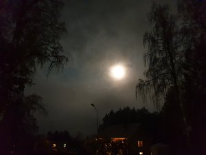 20180829_010416.jpg