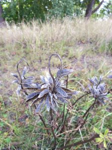 20180906_102248.jpg