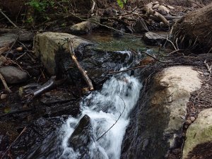 DSC_0050.JPG