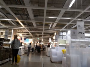 IMG_20180915_142913473_BURST001.jpg