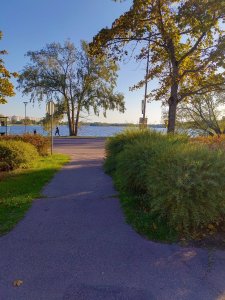 IMG_20180918_171940.jpg