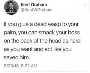 FB_IMG_1537515456018.jpg