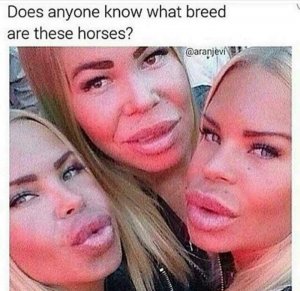 FB_IMG_1538312479141.jpg