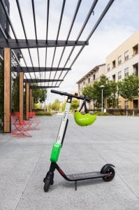 Lime4.jpg