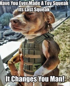 FB_IMG_1538470045889.jpg