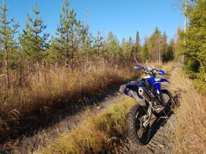 20181004_103624.jpg