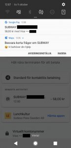 Screenshot_20181009-120702_Google Pay.jpg