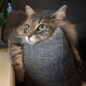 8B0FC928-AE3D-4FE0-9596-612F347B0288.jpeg
