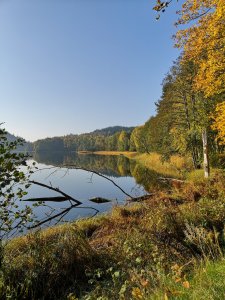 IMG_20181011_105926.jpg