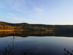 IMG_20181011_171518.jpg