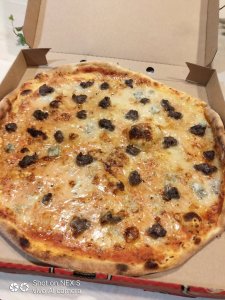 IMG_20181013_201226.jpg