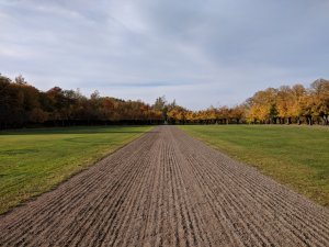 IMG_20181013_143923.jpg