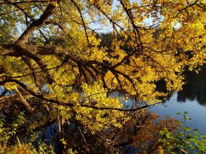 20181015_162729.jpg