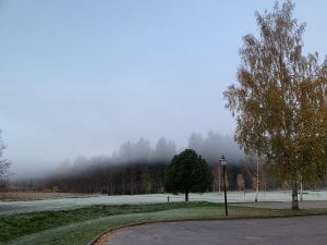 25A84AEB-3ECC-4D16-AC2E-135F6A63FD56.jpeg