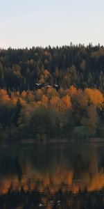 IMG_20181011_174459.jpg
