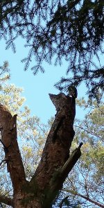 IMG_20181020_120543.jpg